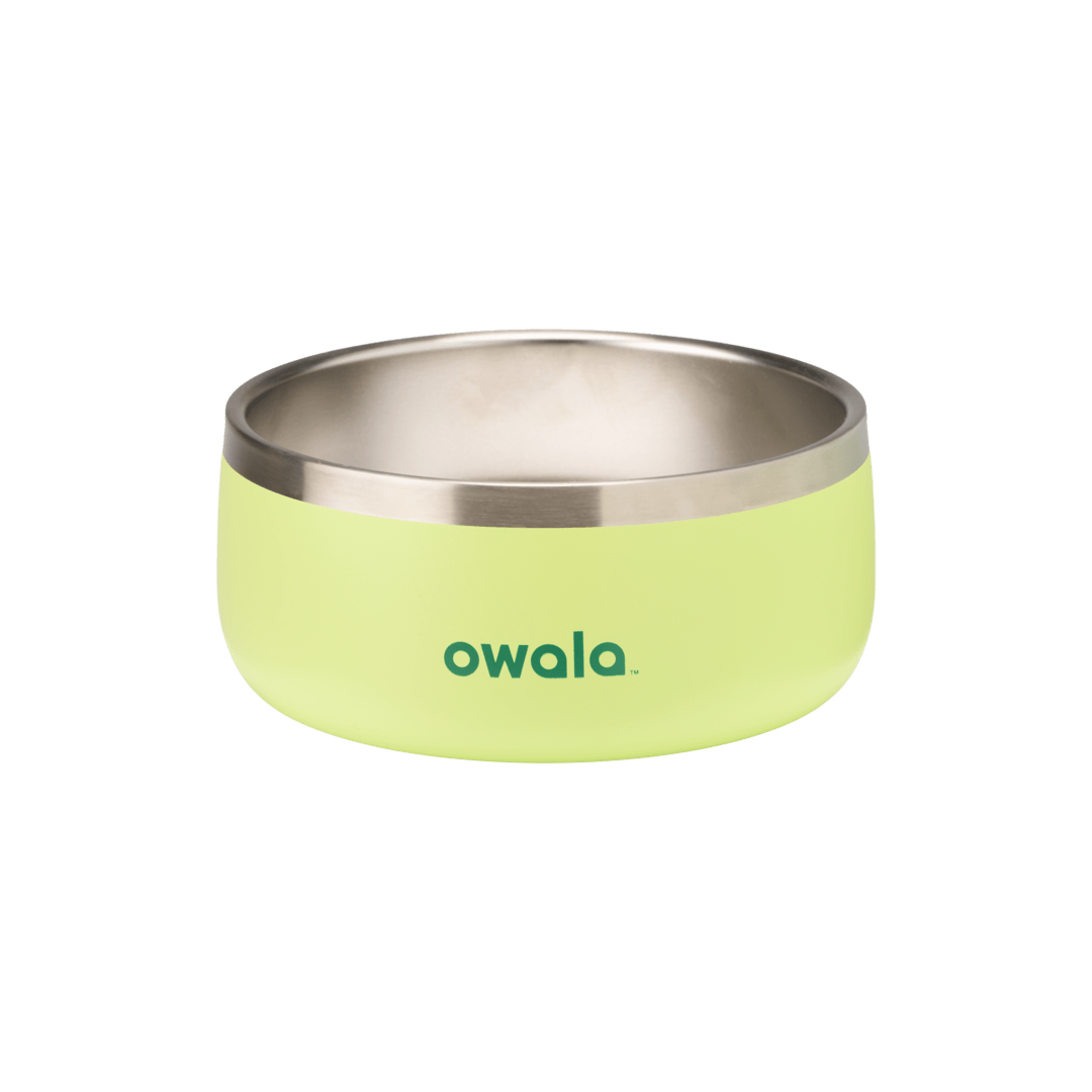 Pet Bowl - Second Set 39 rv6kw f26d8 44bfe f4ppb