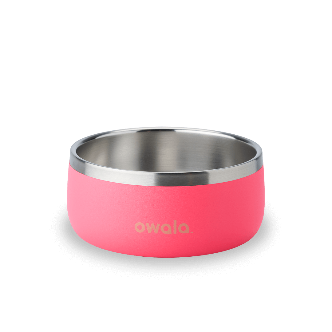 Pet Bowl - Second Set 39 rv6kw f26d8 44bfe f4ppb