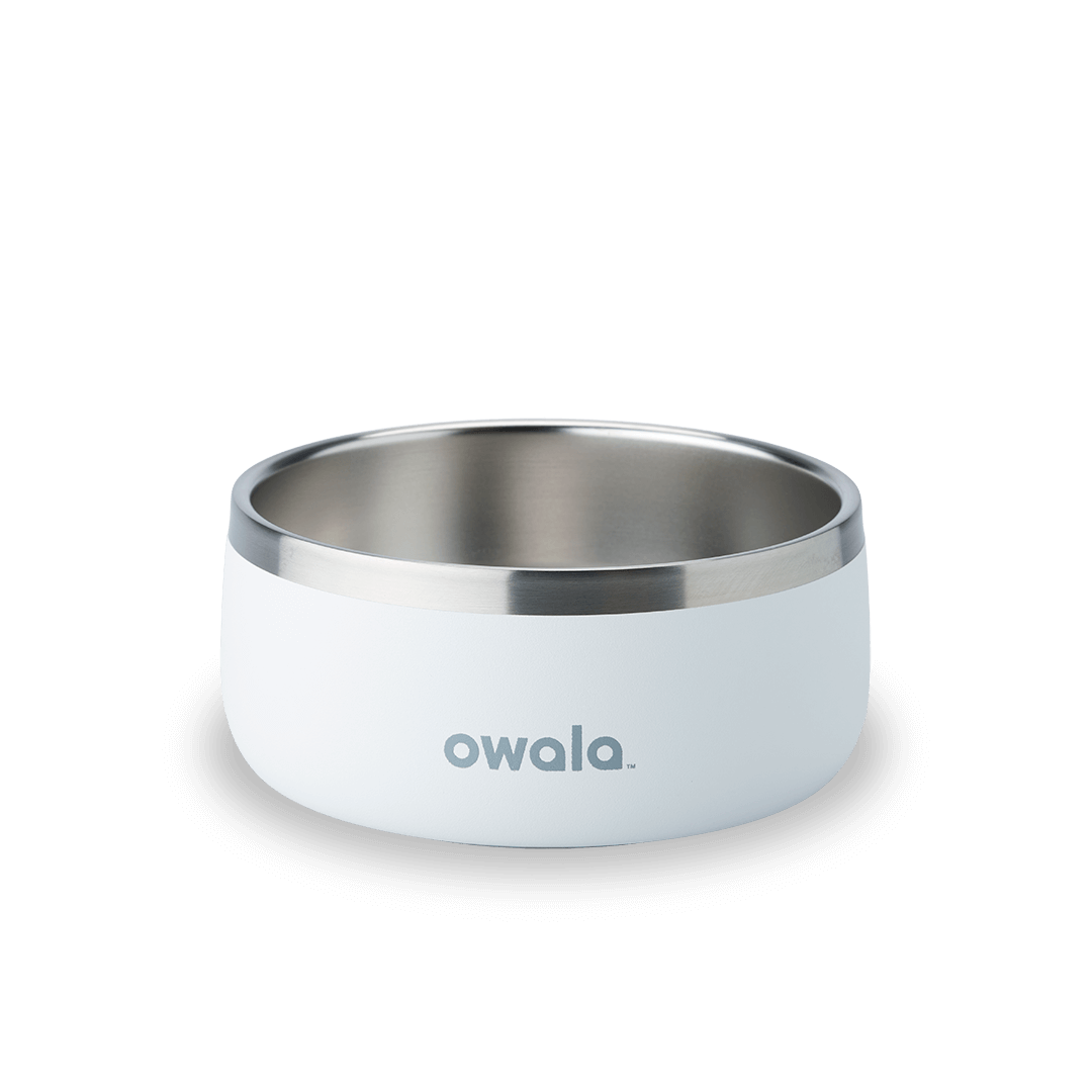 Pet Bowl - Second Set 39 rv6kw f26d8 44bfe f4ppb