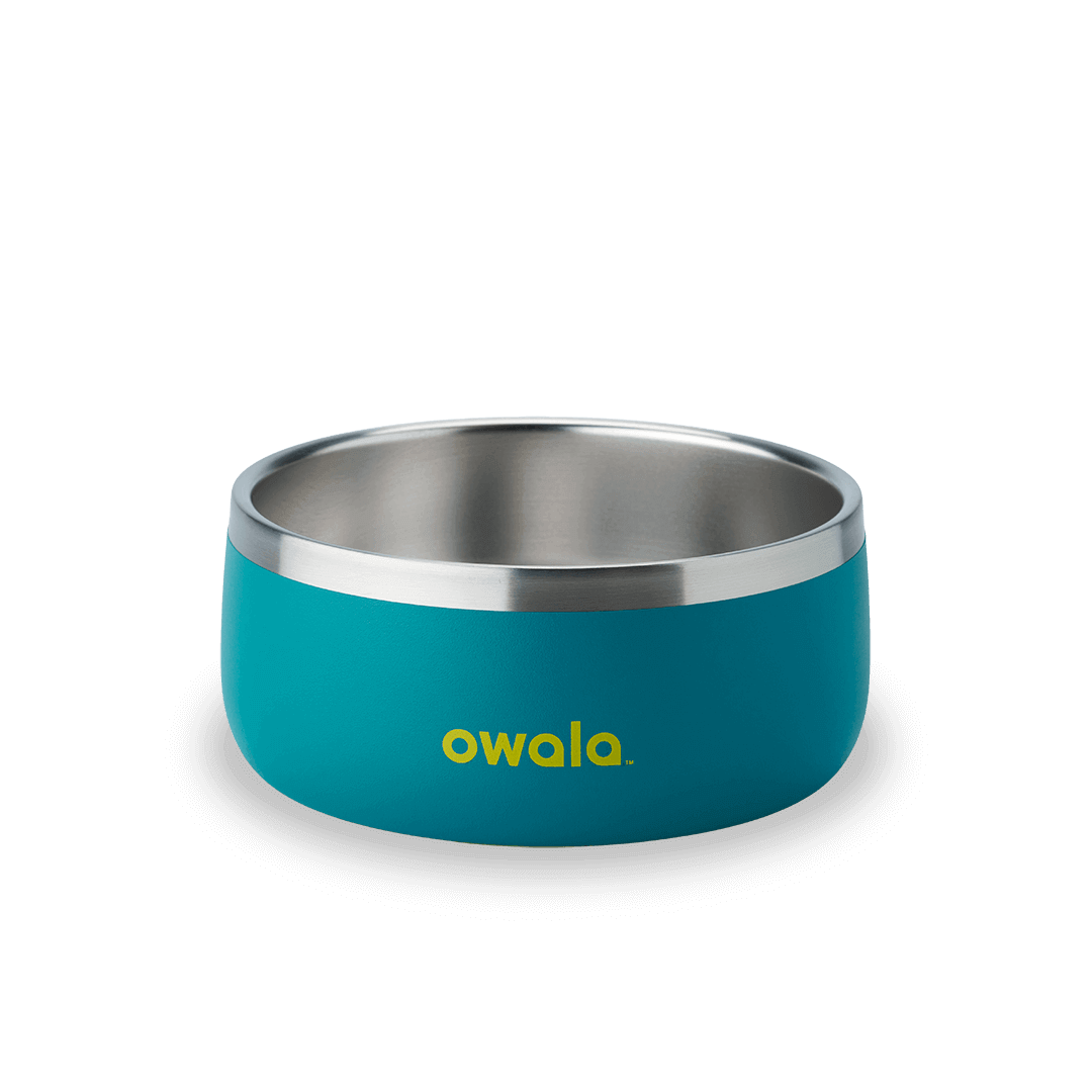 Pet Bowl - Second Set 39 rv6kw f26d8 44bfe f4ppb