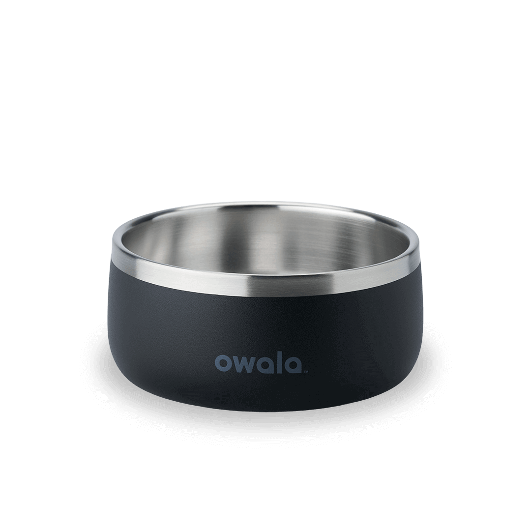 Pet Bowl - Second Set 39 rv6kw f26d8 44bfe f4ppb