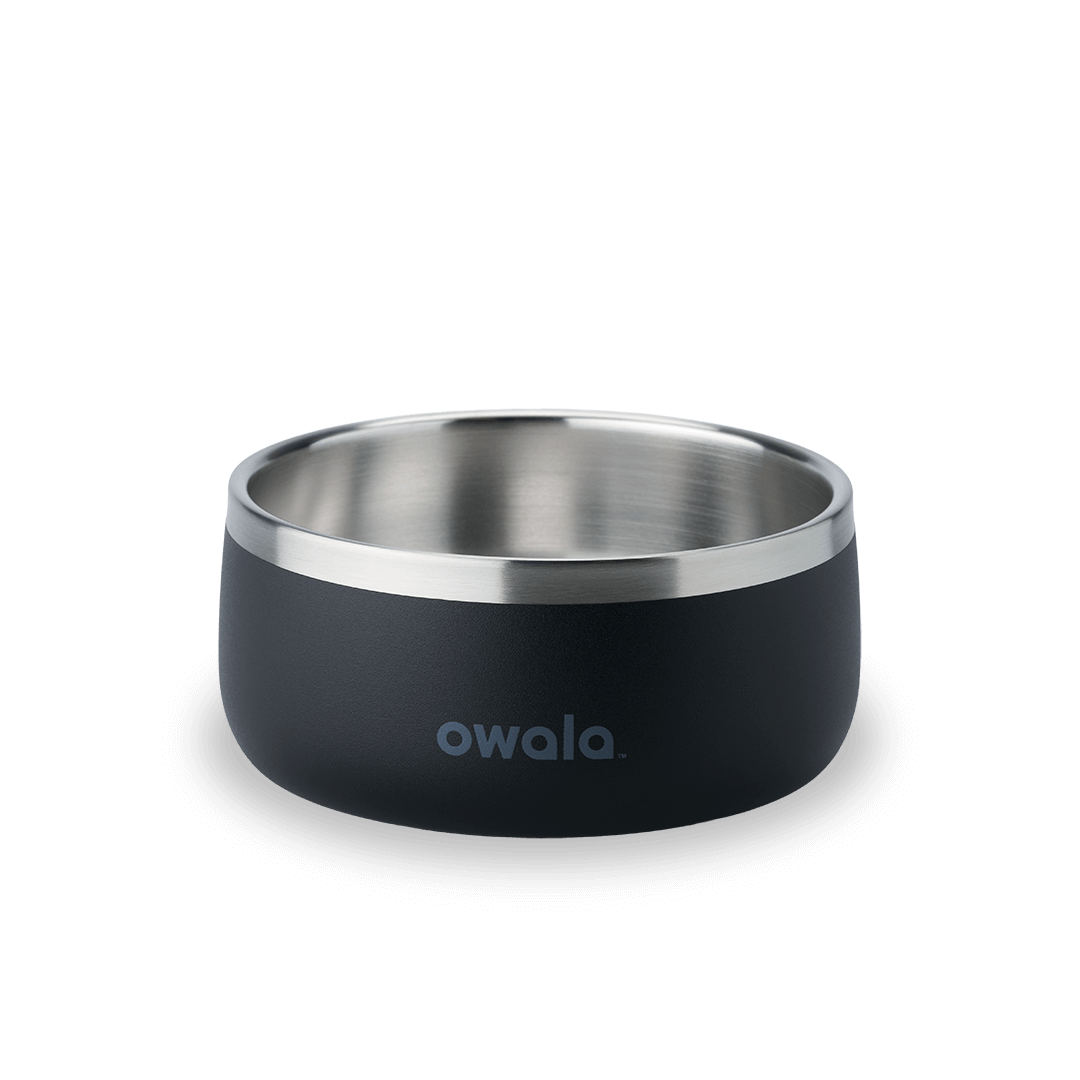 Pet Bowl - Second Set 39 rv6kw f26d8 44bfe f4ppb