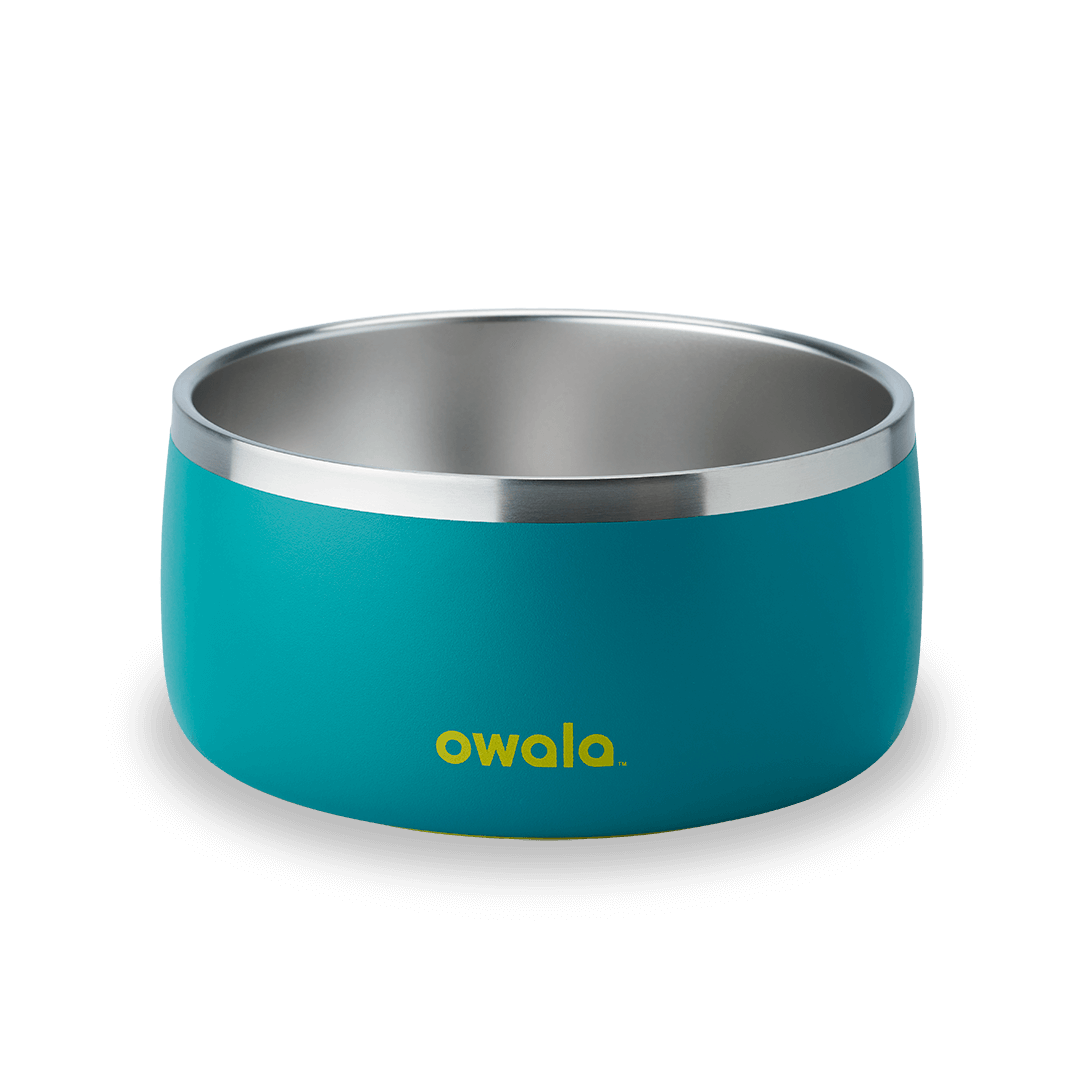 Pet Bowl - Second Set 39 rv6kw f26d8 44bfe f4ppb